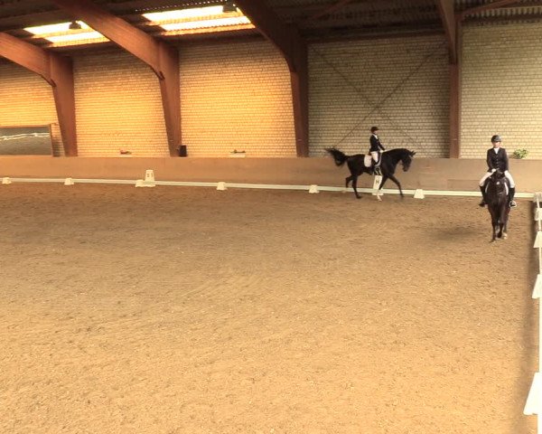 Reitturnier Kamen 2018