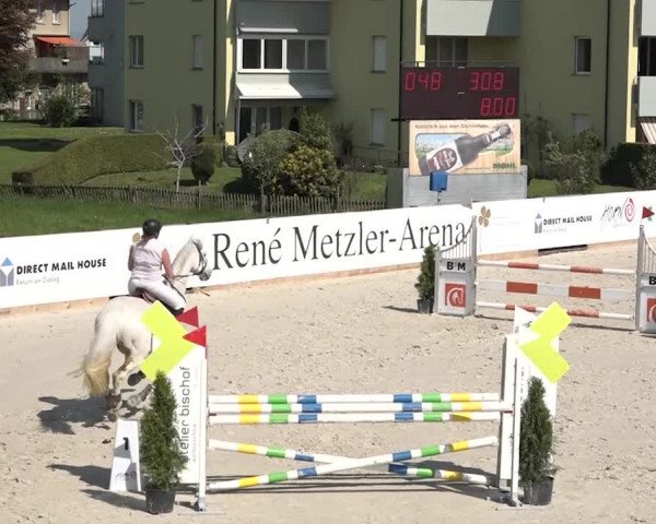 Reitturnier Horn 2018