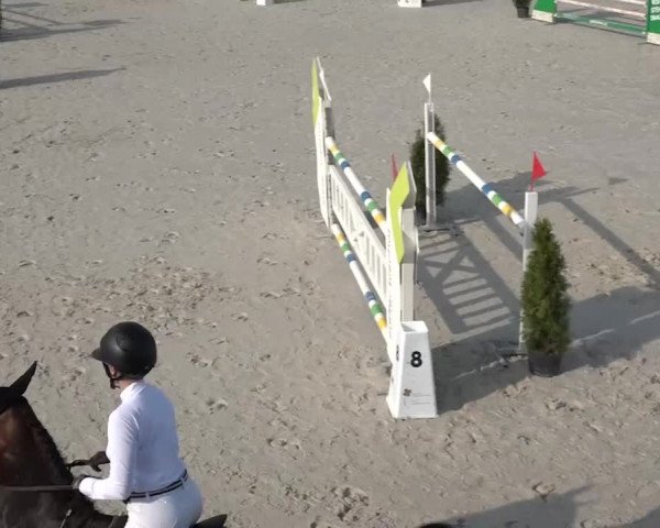 Reitturnier Horn 2018