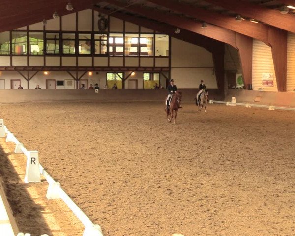 Reitturnier Kamen 2018