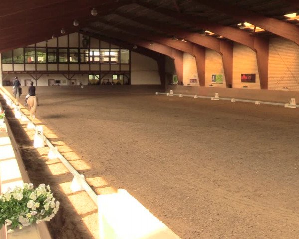 Reitturnier Kamen 2018