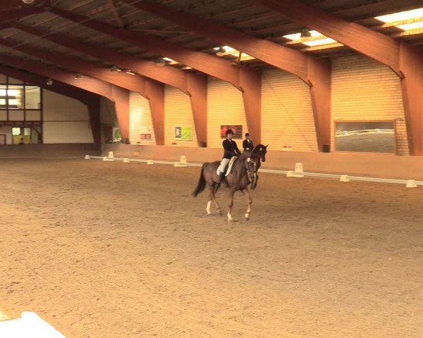 Reitturnier Kamen 2018