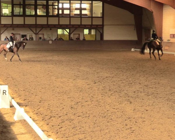 Reitturnier Kamen 2018