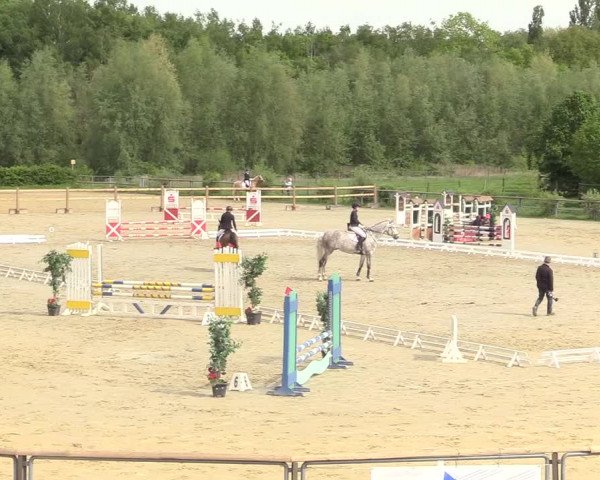 Reitturnier Kamen 2018