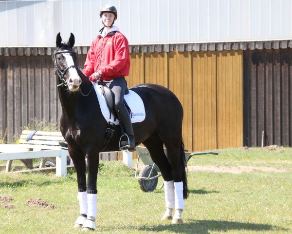 broodmare Dancier´s lightness (Hanoverian, 2008, from Dancier)