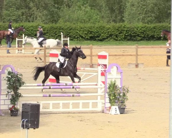 Reitturnier Kamen 2018