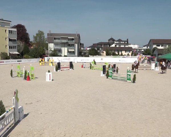 Reitturnier Horn 2018