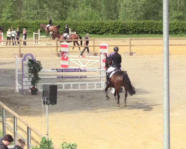 Reitturnier Kamen 2018