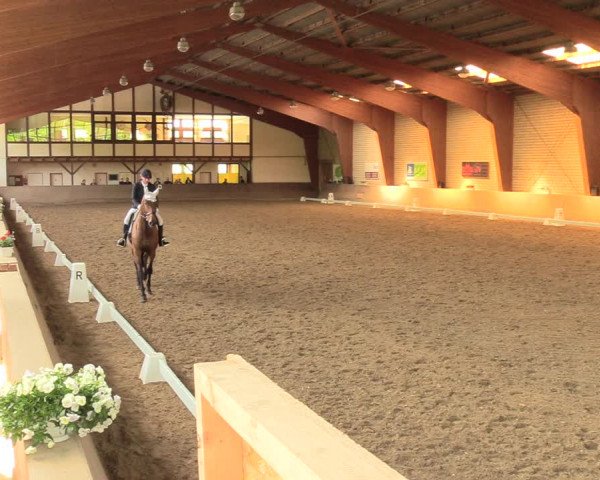 Reitturnier Kamen 2018