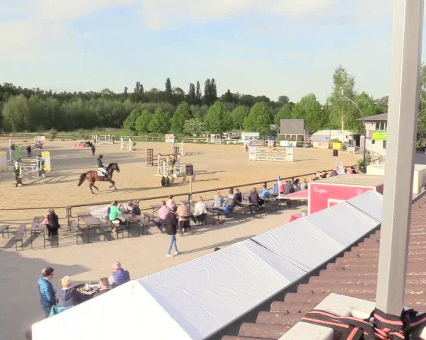 Reitturnier Kamen 2018