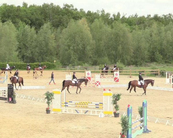 Reitturnier Kamen 2018