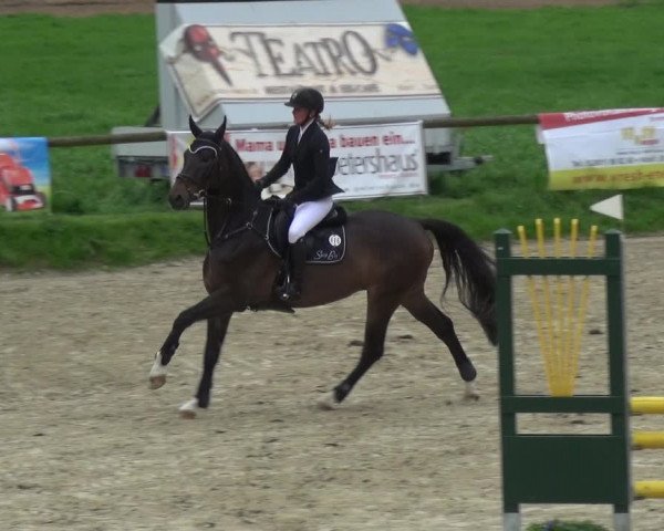 Reitturnier Xanten - Moermter 2018