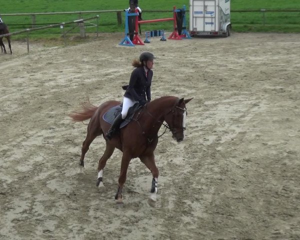 Reitturnier Xanten - Moermter 2018