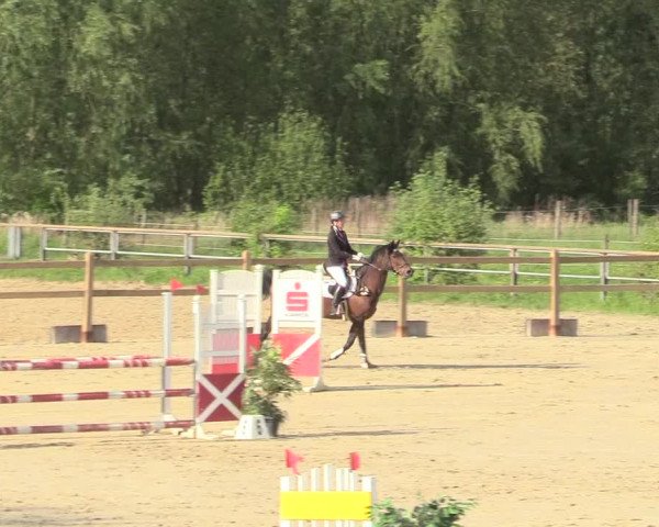 Reitturnier Kamen 2018