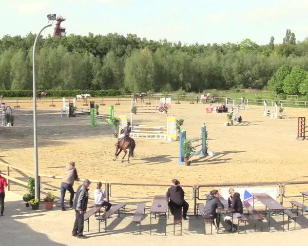 Reitturnier Kamen 2018