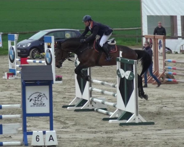 Reitturnier Xanten - Moermter 2018
