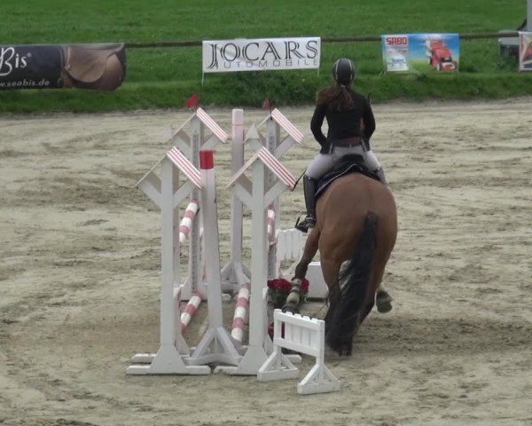 Reitturnier Xanten - Moermter 2018