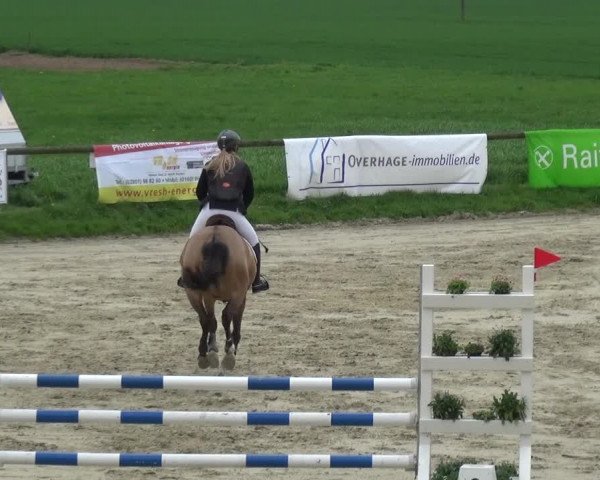 Reitturnier Xanten - Moermter 2018