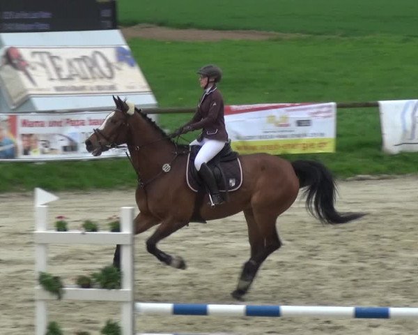 Reitturnier Xanten - Moermter 2018
