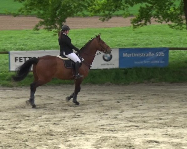 Reitturnier Xanten - Moermter 2018