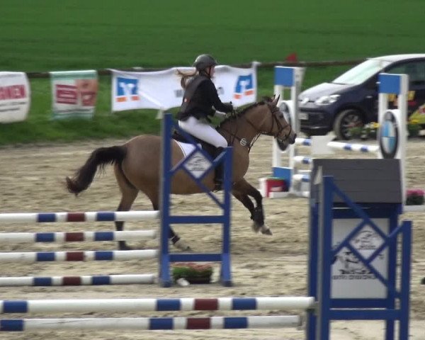 Reitturnier Xanten - Moermter 2018