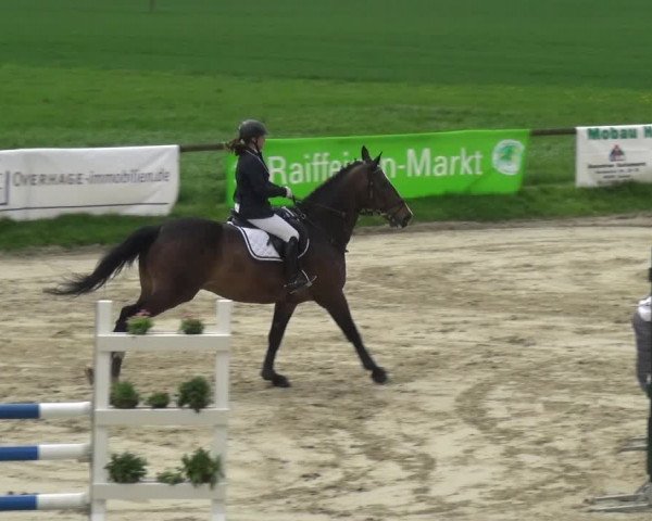Reitturnier Xanten - Moermter 2018