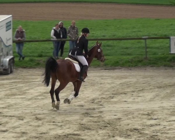 Reitturnier Xanten - Moermter 2018