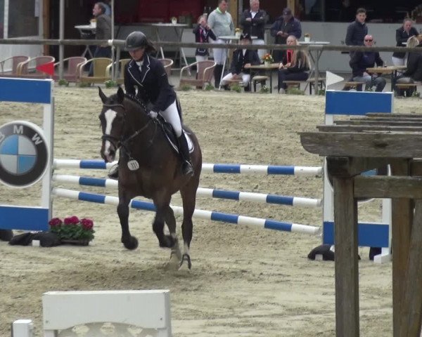 Reitturnier Xanten - Moermter 2018