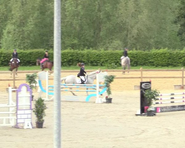 Reitturnier Kamen 2018