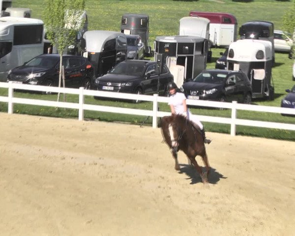Reitturnier Leutkirch-Diepoldshofen 2018