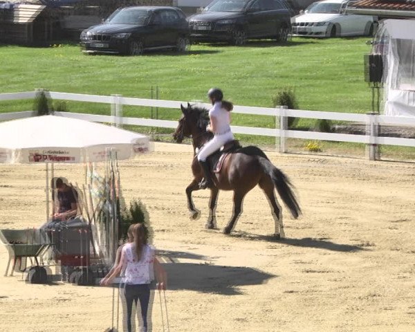 Reitturnier Leutkirch-Diepoldshofen 2018