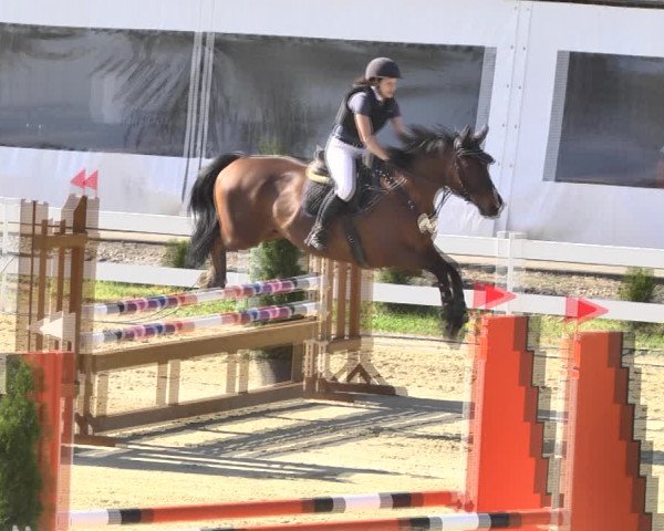 Reitturnier Leutkirch-Diepoldshofen 2018
