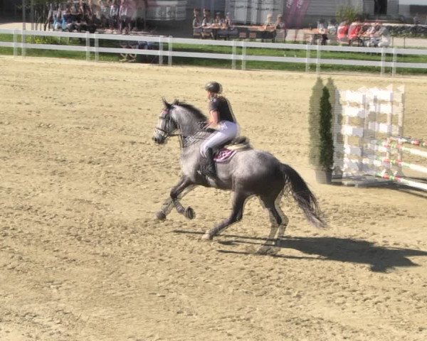 Reitturnier Leutkirch-Diepoldshofen 2018