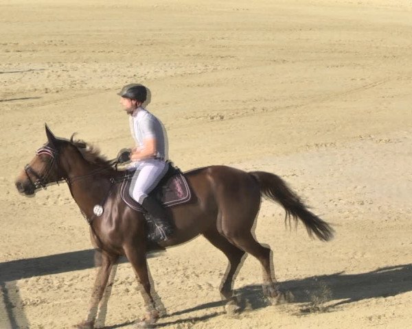Reitturnier Leutkirch-Diepoldshofen 2018