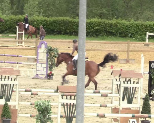 Reitturnier Kamen 2018