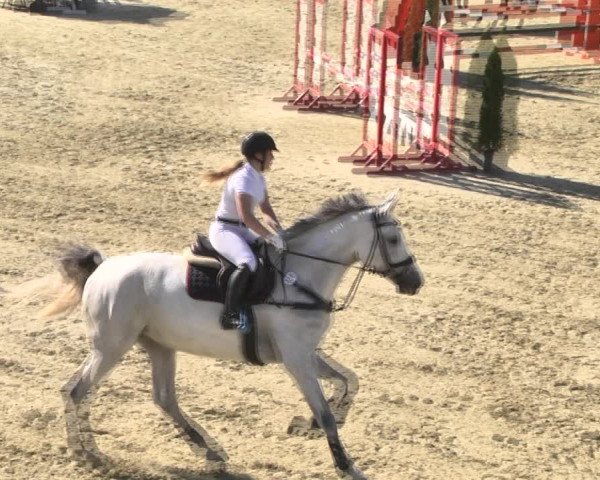 Reitturnier Leutkirch-Diepoldshofen 2018