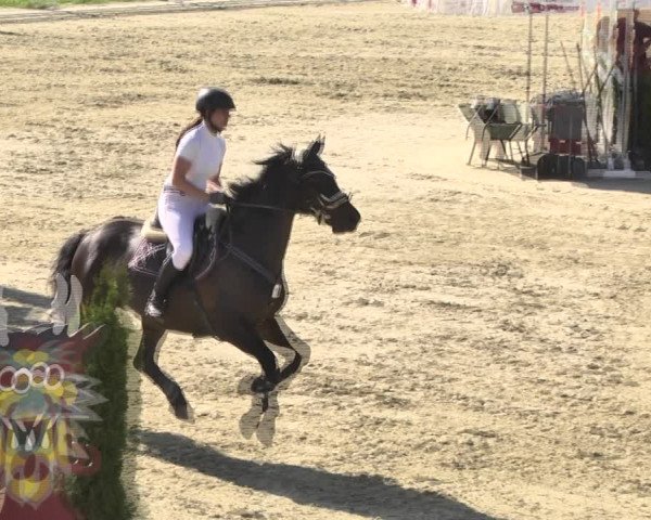 Reitturnier Leutkirch-Diepoldshofen 2018
