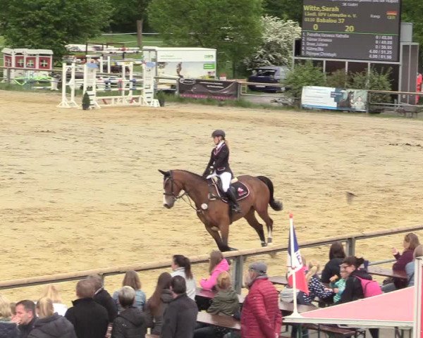 Reitturnier Kamen 2018