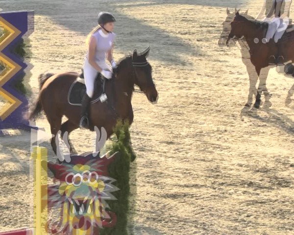 Reitturnier Leutkirch-Diepoldshofen 2018