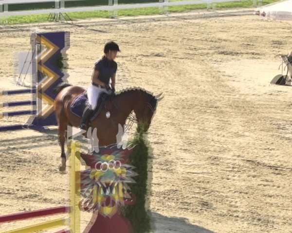 Reitturnier Leutkirch-Diepoldshofen 2018