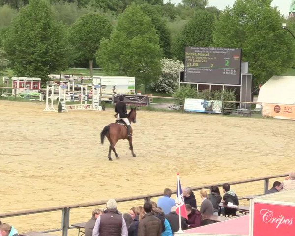 Reitturnier Kamen 2018