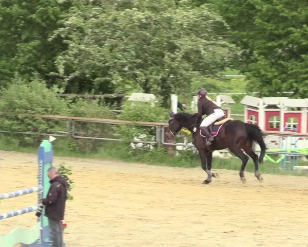 Reitturnier Kamen 2018