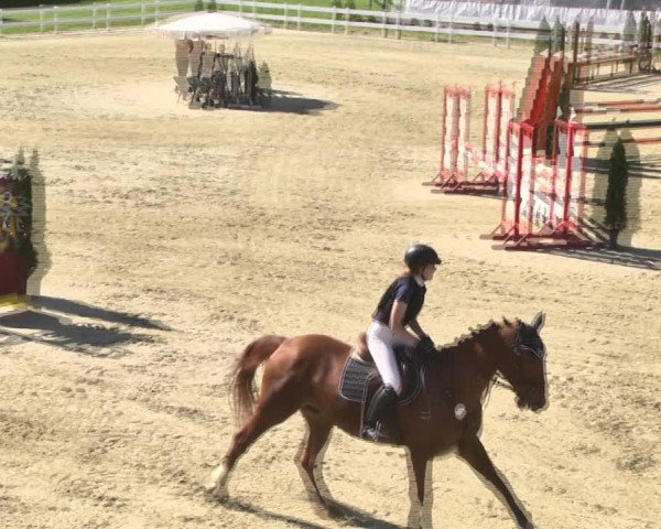 Reitturnier Leutkirch-Diepoldshofen 2018