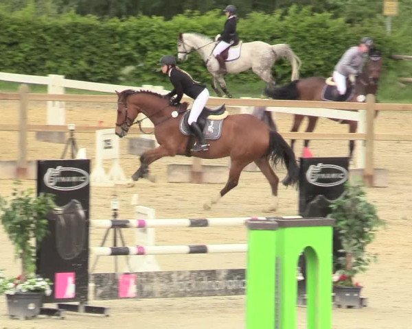 Reitturnier Kamen 2018