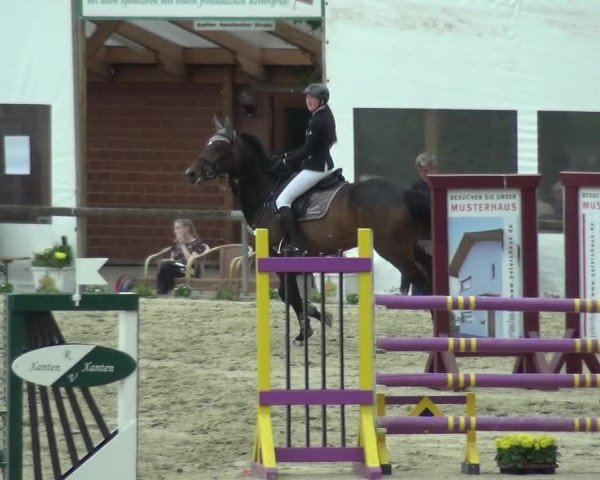 Reitturnier Xanten - Moermter 2018
