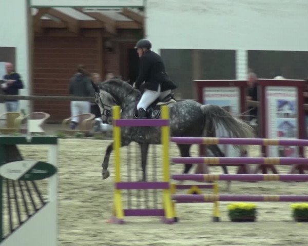 Reitturnier Xanten - Moermter 2018