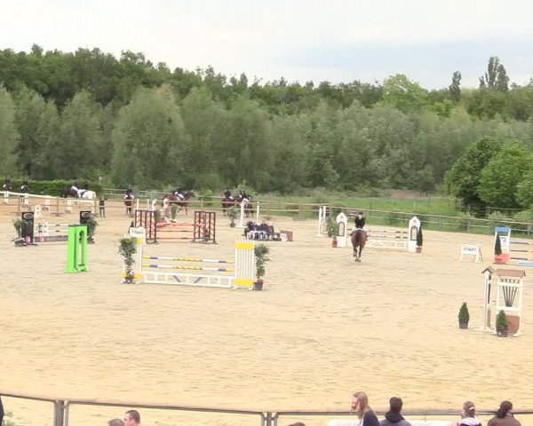 Reitturnier Kamen 2018
