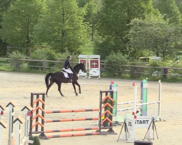 Reitturnier Kamen 2018