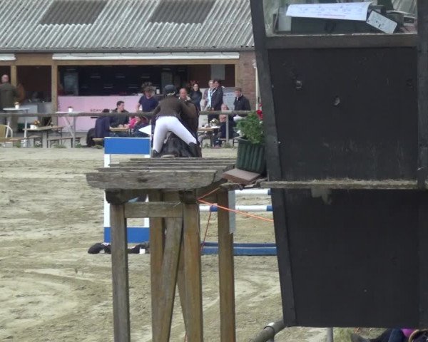 Reitturnier Xanten - Moermter 2018