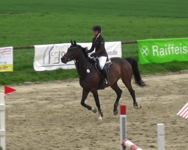 Reitturnier Xanten - Moermter 2018